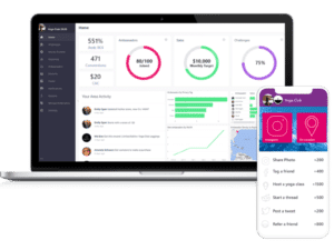 Brand ambassador program tracking report