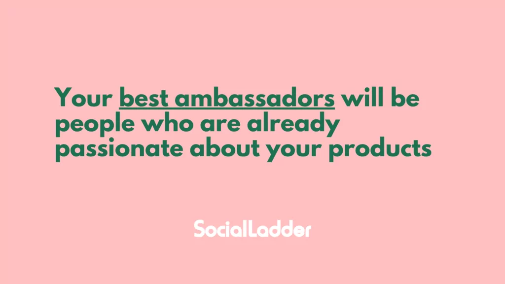 best community ambassadors will be people passionate about your product